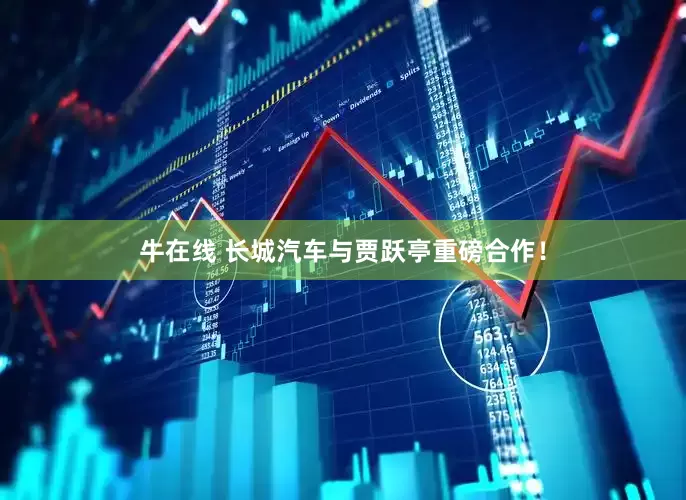 牛在线 长城汽车与贾跃亭重磅合作！